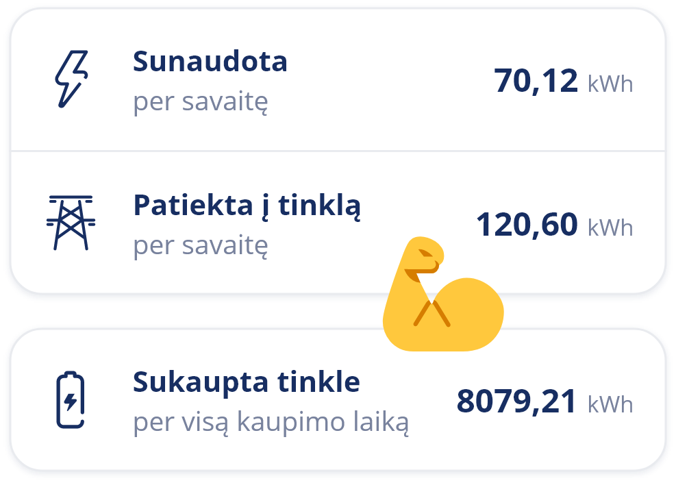 Elektros energijos suvartojimo duomenys per pasirinktą laikotarpį
