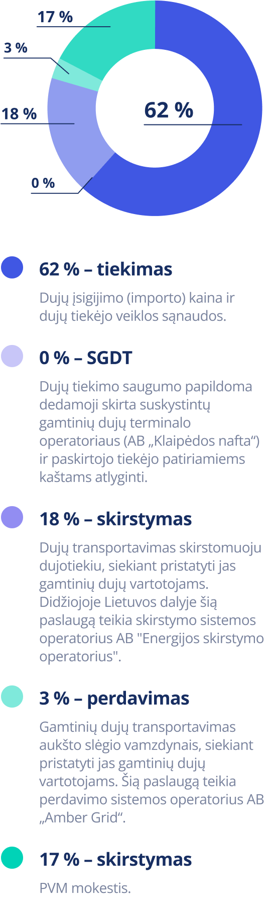 Dujų kainos sandara