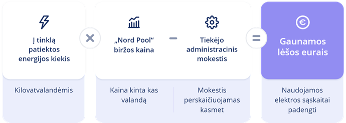 Į elektros tinklus patiektos elektros energijos vertės formulė