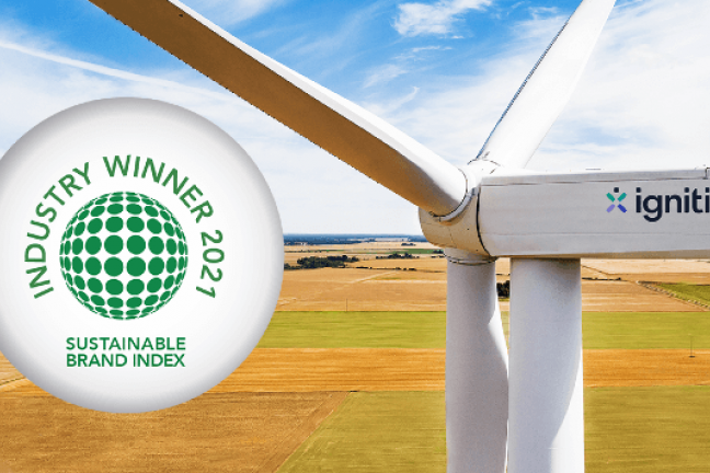 Vėjo elektrinė sustainable brand index
