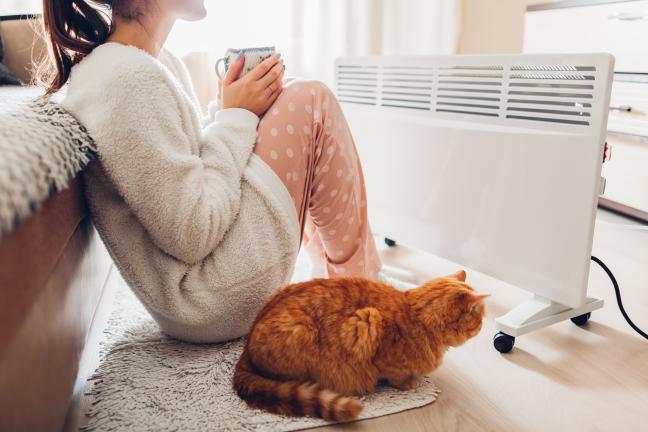 Moteris su katinu šildosi prie radiatoriaus ir galvoja apie Ignitis elektros kainas