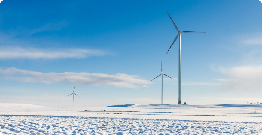 Vėjo parkas žiemą. Žemė nuklota sniegu.
