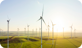 Vėjo elektrinių parkas