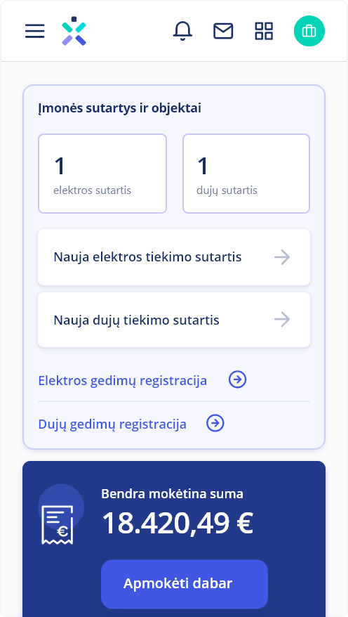 Verslo savitarnos ekrano nuotrauka