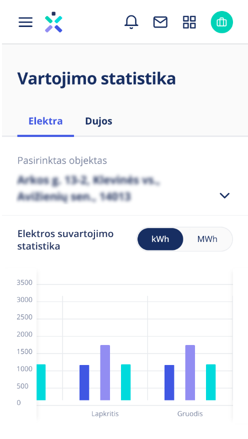 Verslo savitarnos ekrano nuotrauka