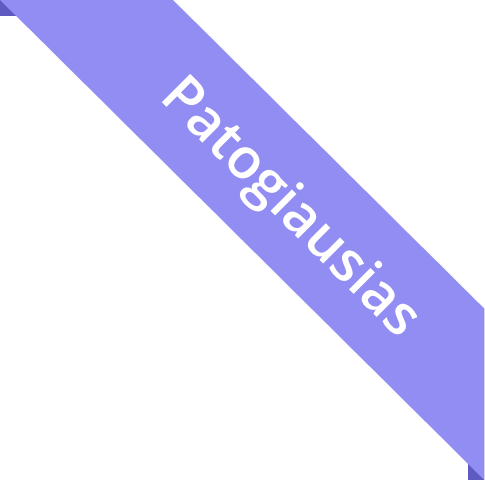 Patogiausias