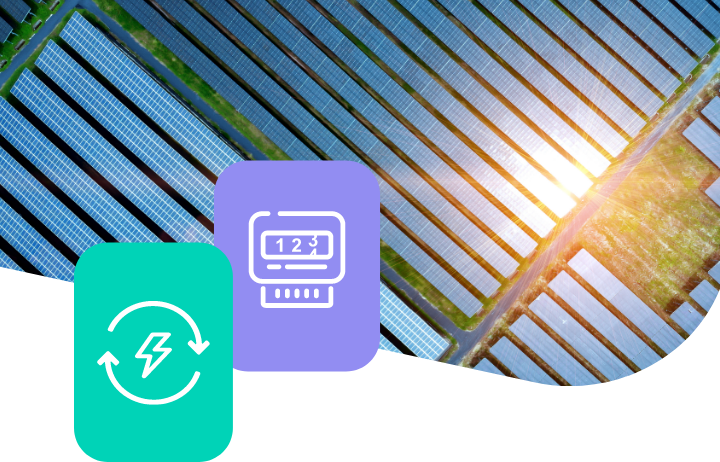 Dvipusė apskaita (net metering)